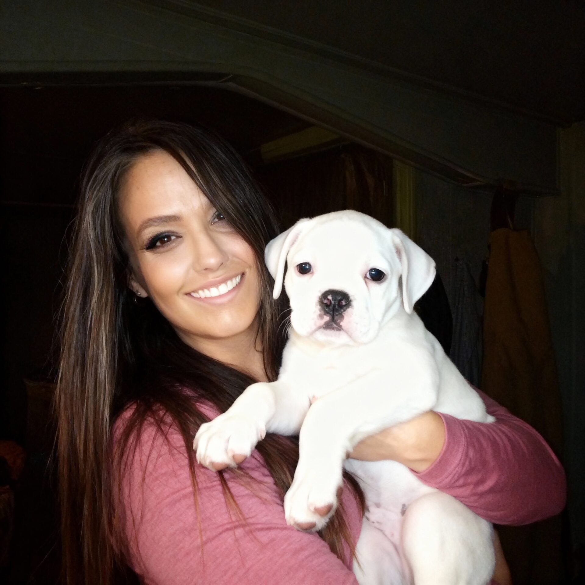 Second Chances: Heartwarming Boxer Rescue Success Stories